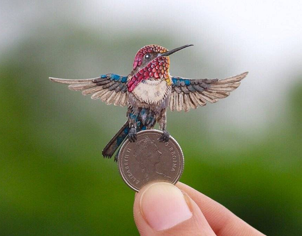 Which is the smallest bird in the world?