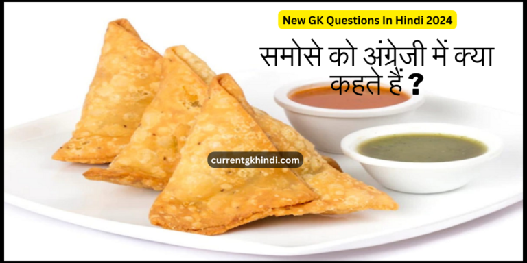 New GK Questions In Hindi 2024 : समोसे को अंग्रेजी में क्या कहते हैं ?
