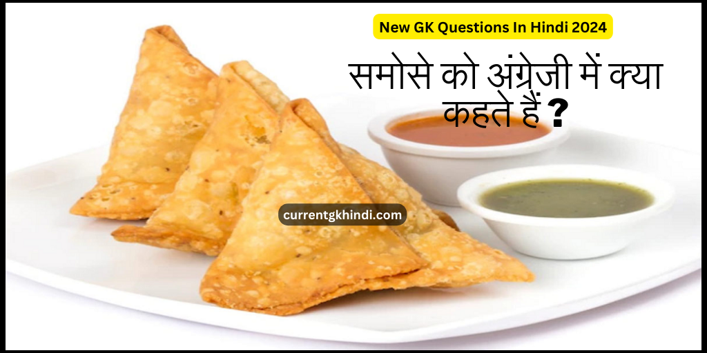 New GK Questions In Hindi 2024 : समोसे को अंग्रेजी में क्या कहते हैं ?